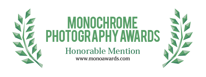 Honorable Mention, Monochrome Photography Awards 2018 London 

Harald Weimann of Germany was awarded: Honorable Mention in category Fine Art, Landscape for the entries 